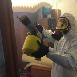 Уничтожение клопов в квартире. Можга